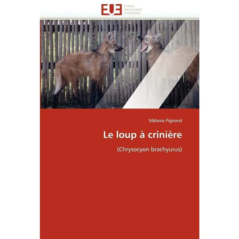 Le loup à crinière