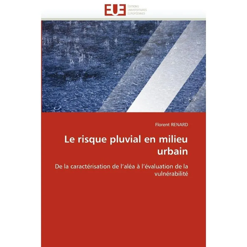 Le risque pluvial en milieu urbain