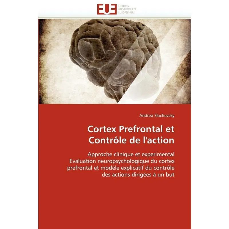 Cortex prefrontal et contrôle de laction