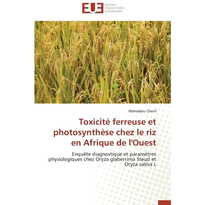 Toxicité ferreuse et photosynthèse chez le riz en Afrique d