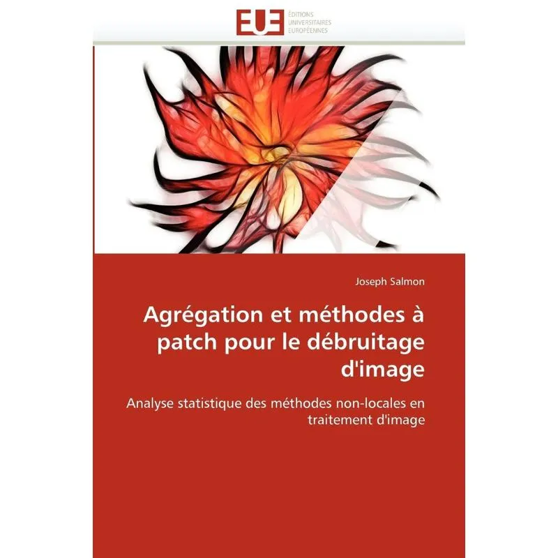 Livro Agrégation et méthodes à patch pour le débruitage d'image