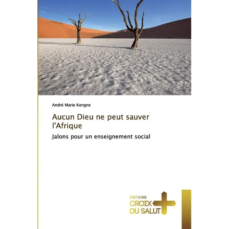 Aucun Dieu ne peut sauver lAfrique