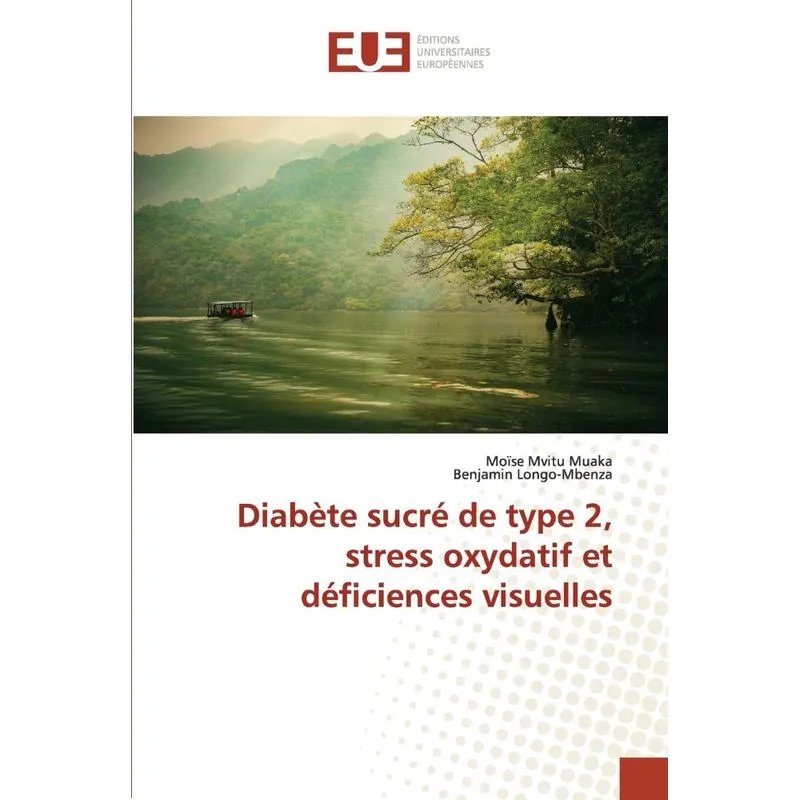 Diabète sucré de type 2, stress oxydatif et déficiences vis