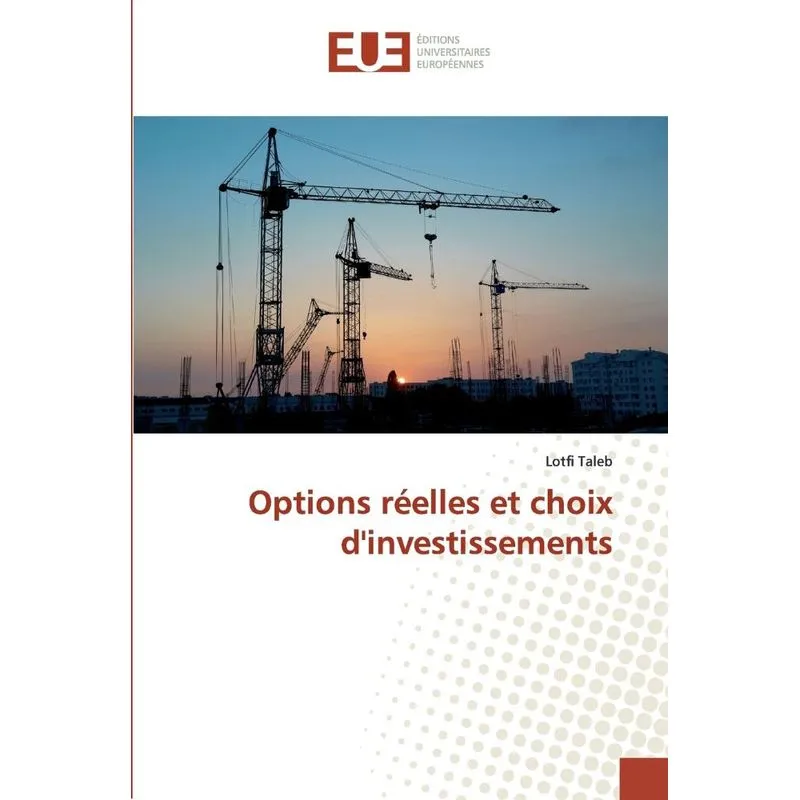 Options réelles et choix dinvestissements