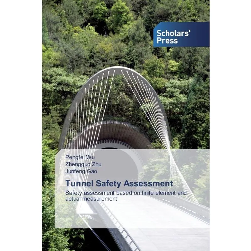 Tunnel Safety Assessment