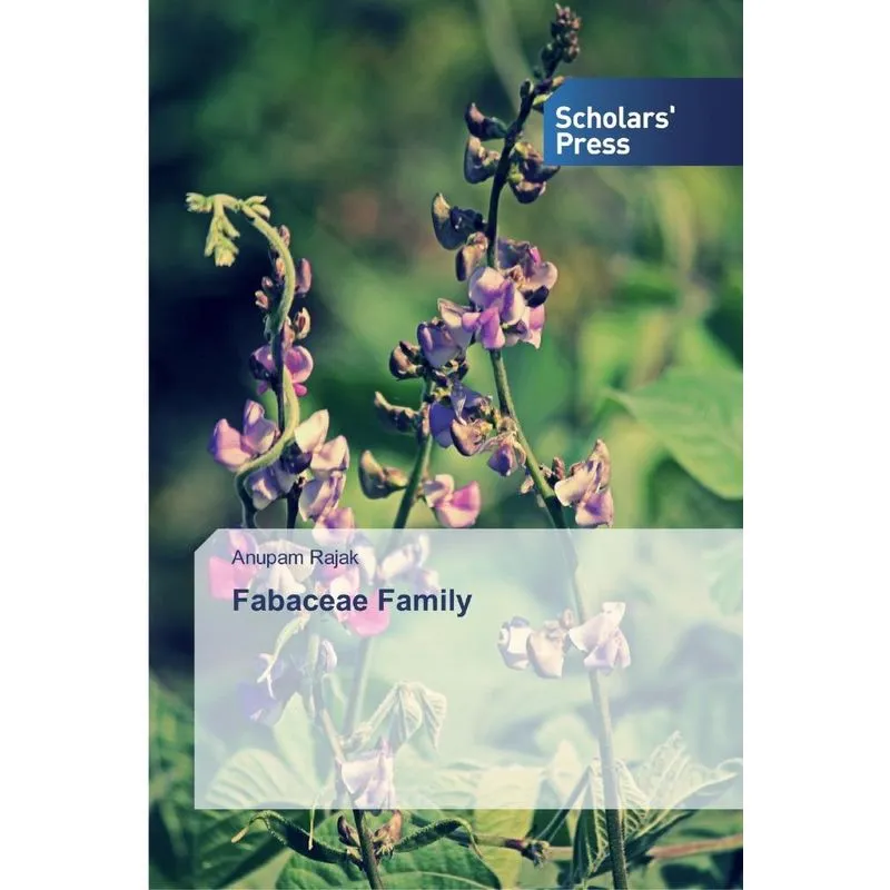 Fabaceae Family