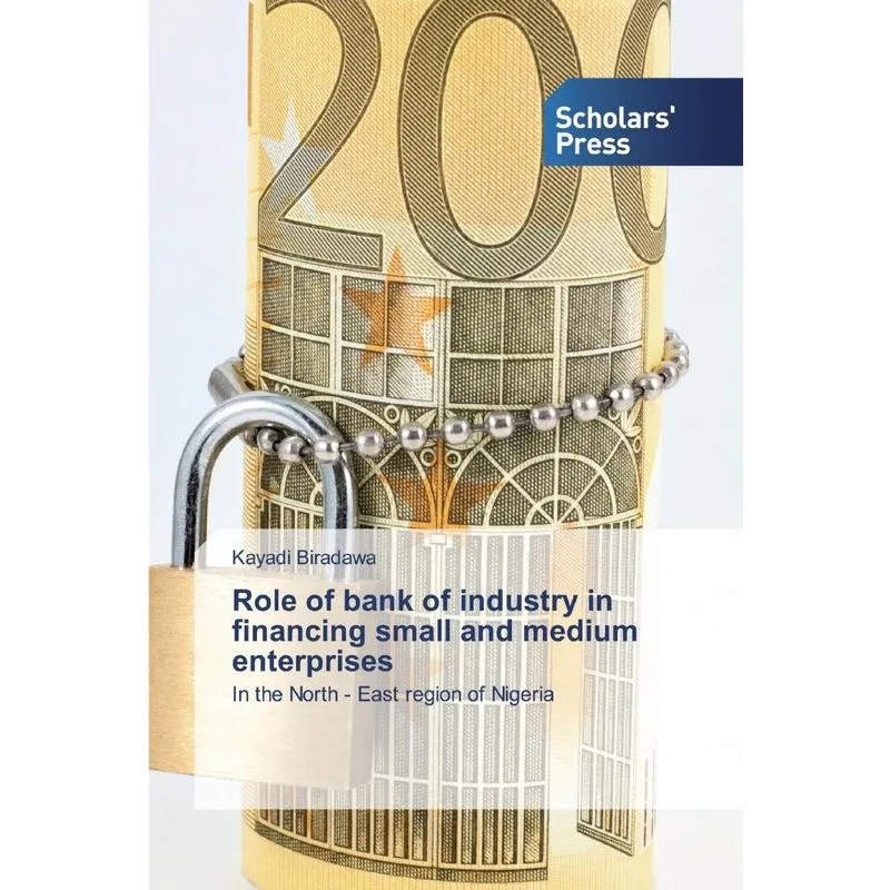 Role of bank of industry in financing small and medium ente