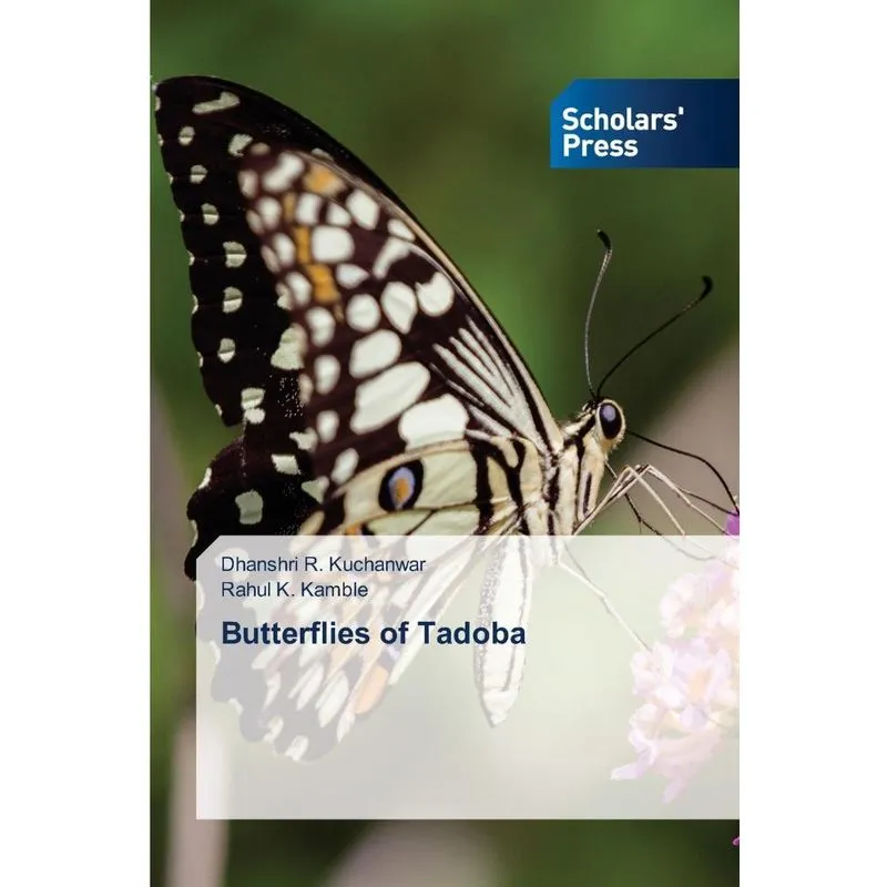 Butterflies Of Tadoba