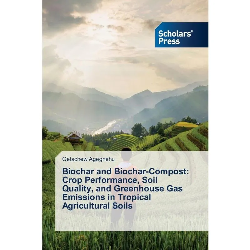Biochar and Biochar-Compost