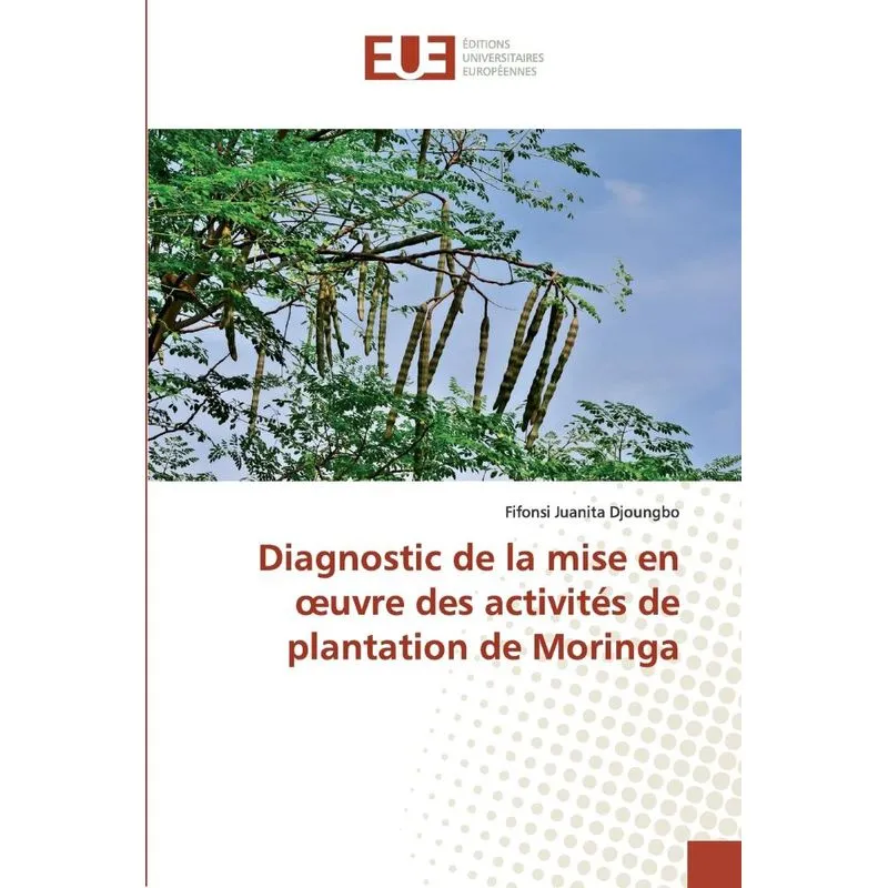 Diagnostic de la mise en œuvre des activités de plantation