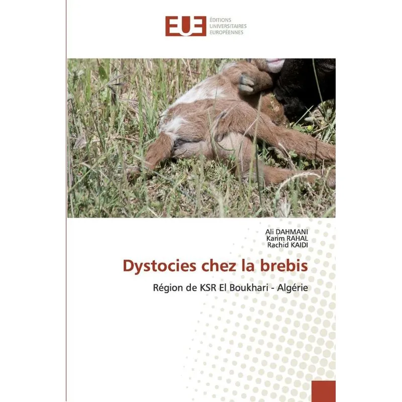 Dystocies chez la brebis