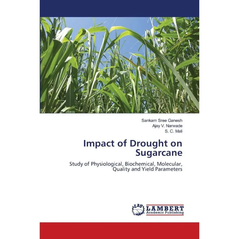 Impact of Drought on Sugarcane