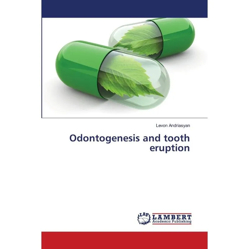 Odontogenesis and tooth eruption