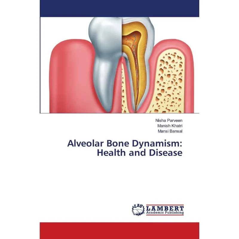 Alveolar Bone Dynamism