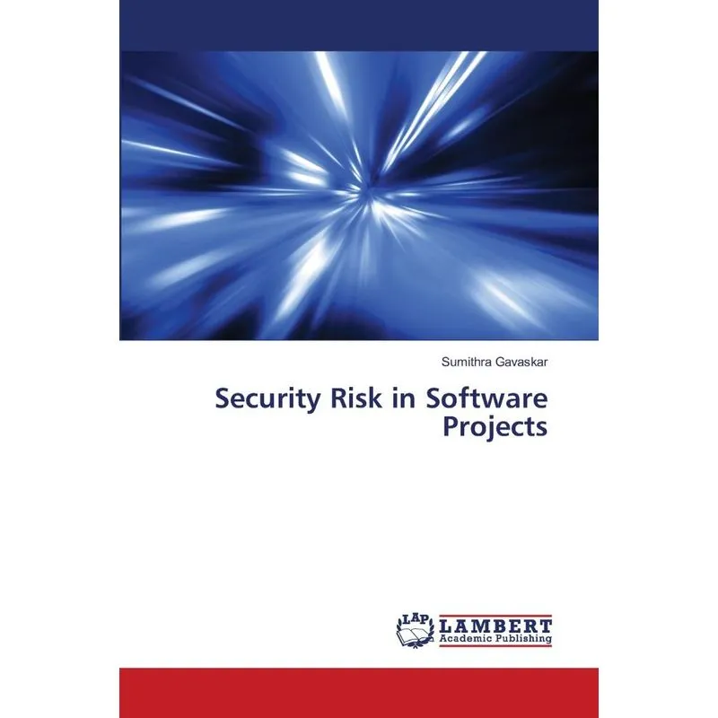 Security Risk in Software Projects