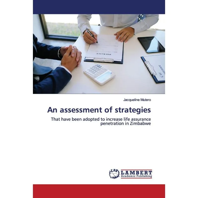 An assessment of strategies