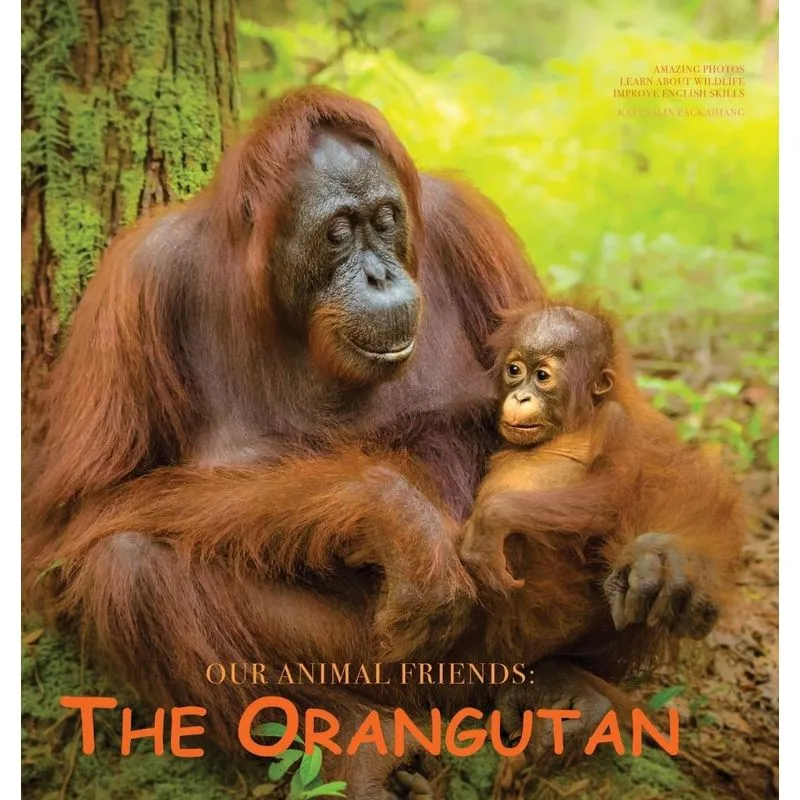 The Orangutan
