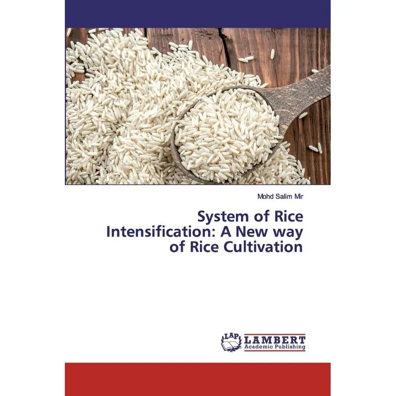 System of Rice Intensification