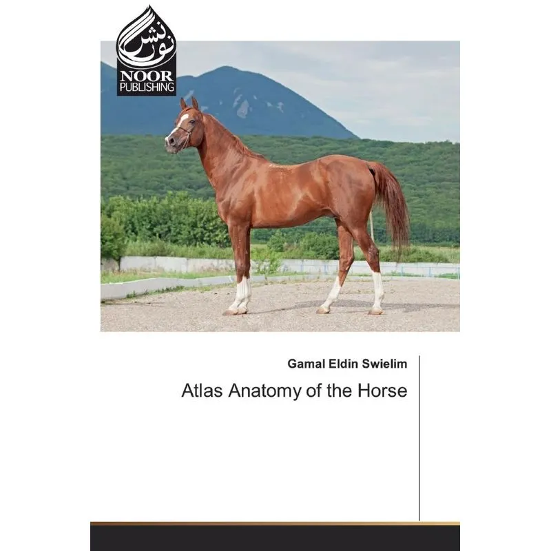 Atlas Anatomy of the Horse