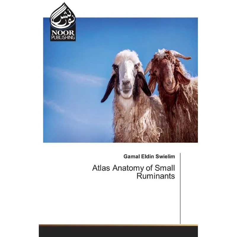 Atlas Anatomy of Small Ruminants