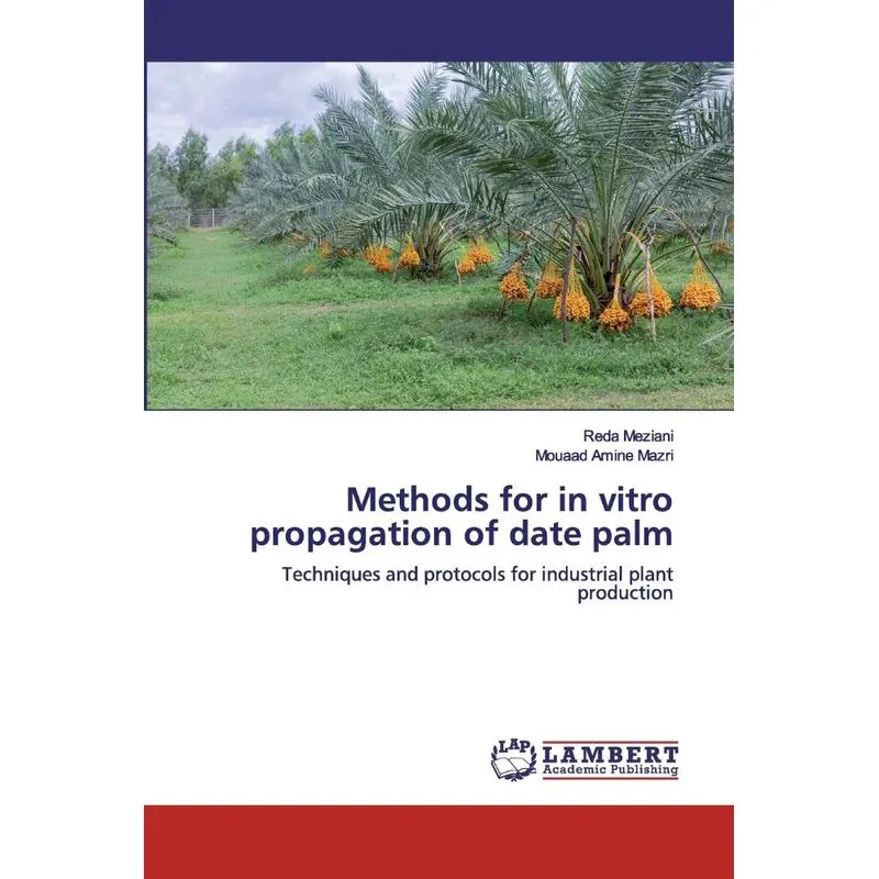 Methods for in vitro propagation of date palm