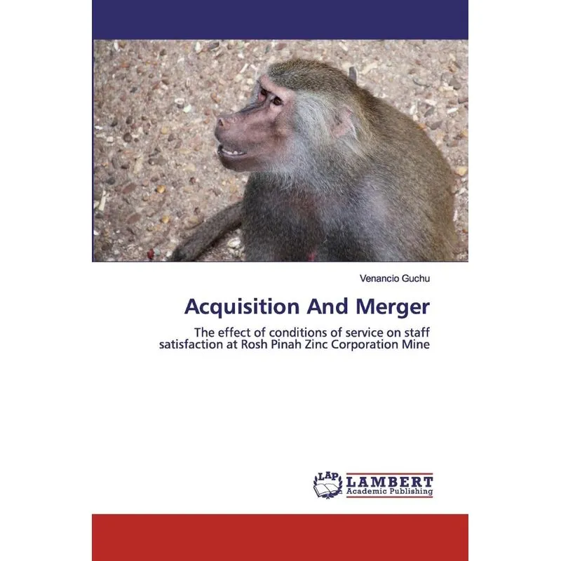 Acquisition And Merger