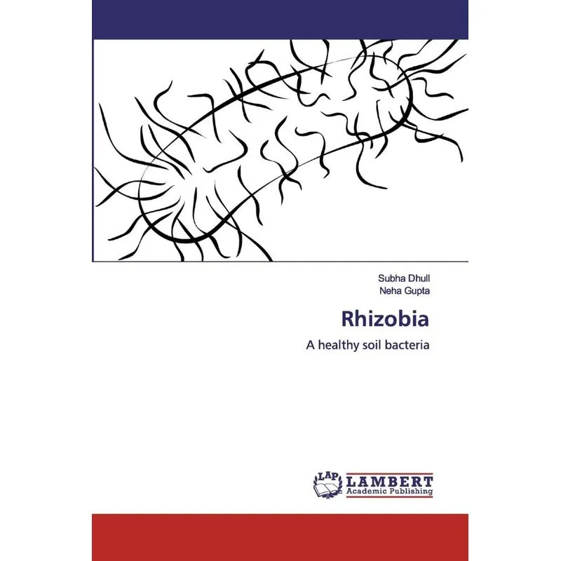 Rhizobia