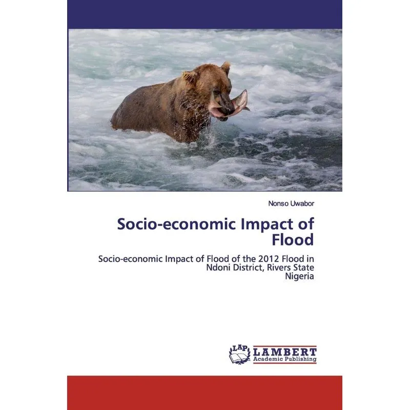 Socio-economic Impact of Flood