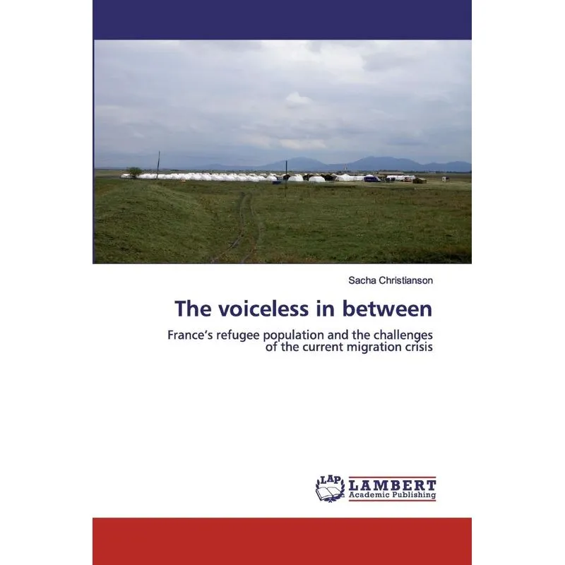 The voiceless in between