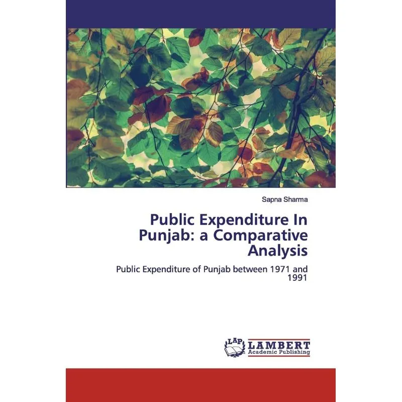 Public Expenditure In Punjab