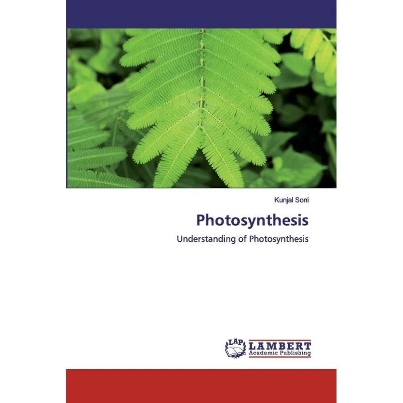 Photosynthesis