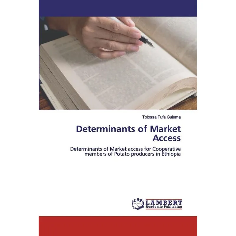 Determinants of Market Access
