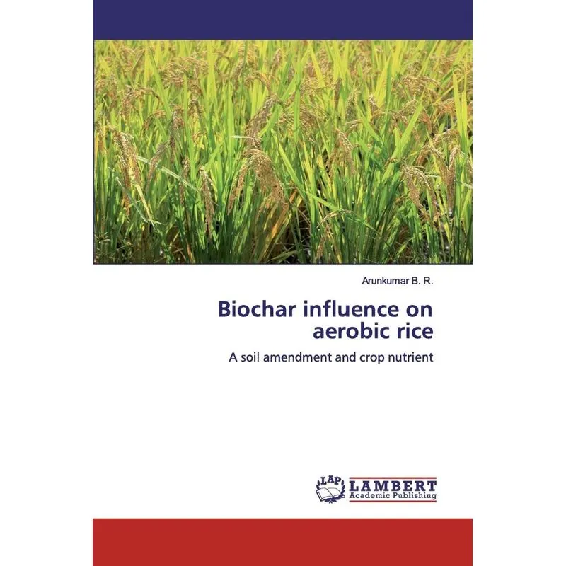 Biochar influence on aerobic rice