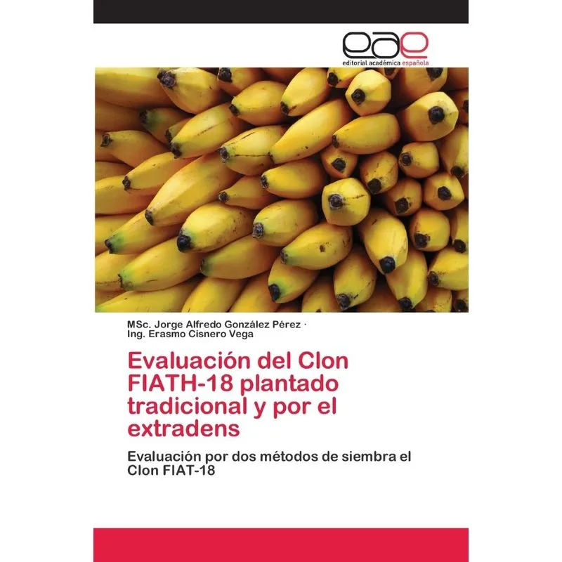 Evaluación del Clon FIATH-18 plantado tradicional y por el