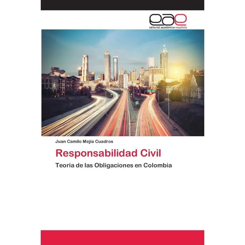 Responsabilidad Civil