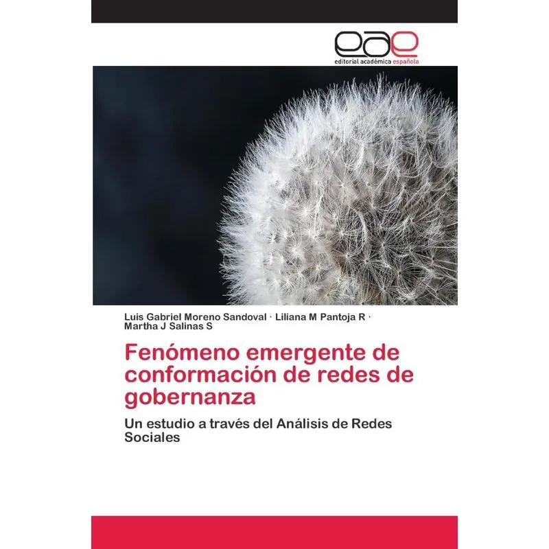 Fenómeno emergente de conformación de redes de gobernanza