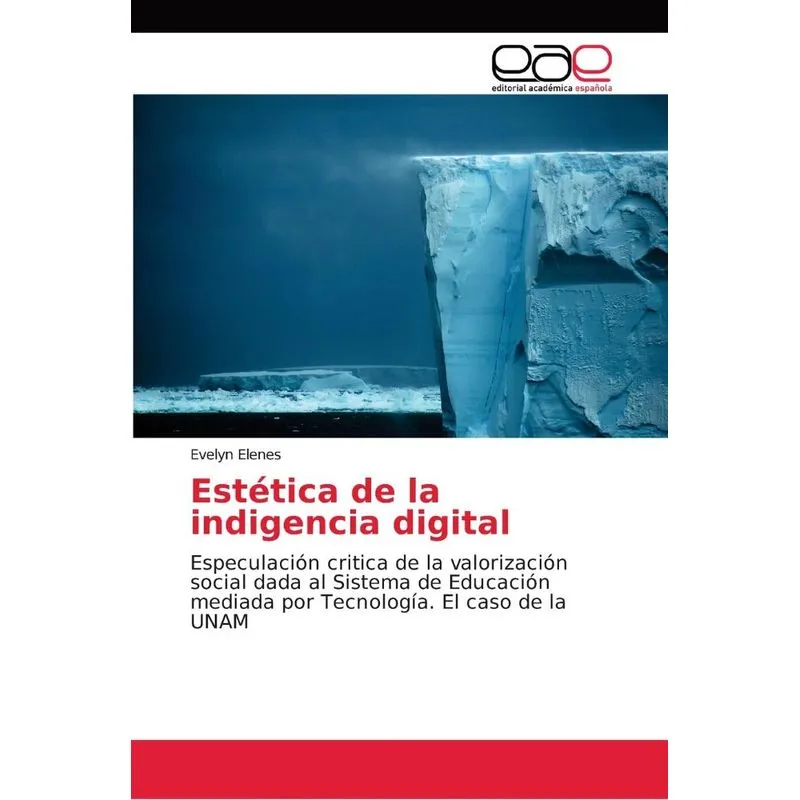 Estética de la indigencia digital