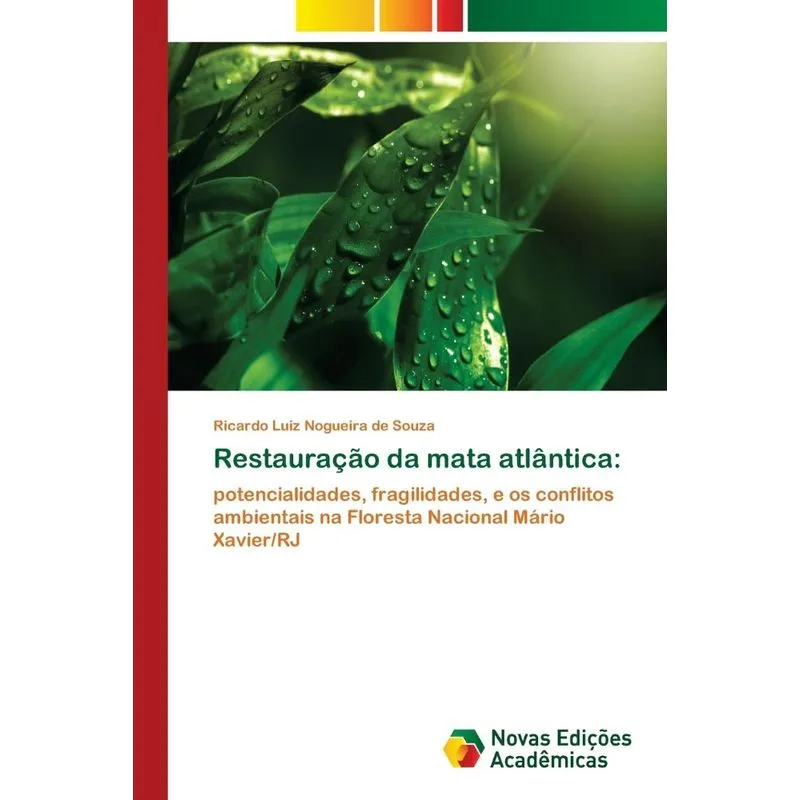 Restauração da mata atlântica