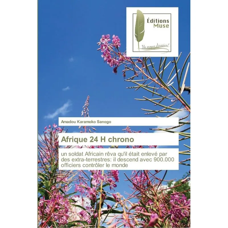 Afrique 24 H chrono