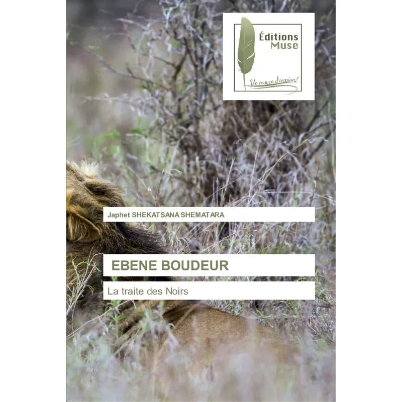 EBENE BOUDEUR