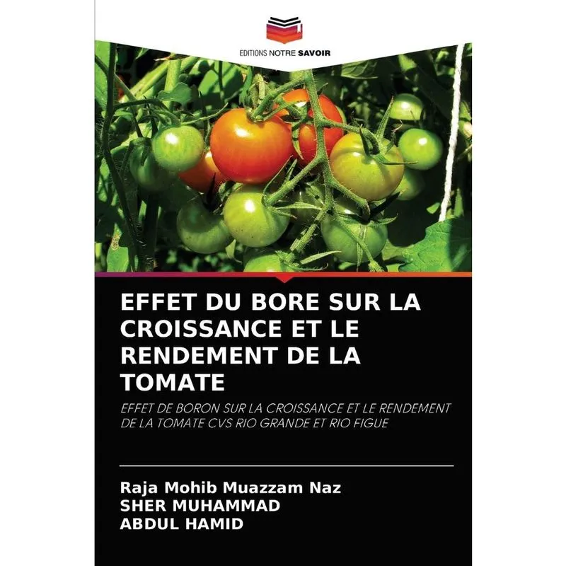 Effet du bore sur la croissance et le rendement de la tomat