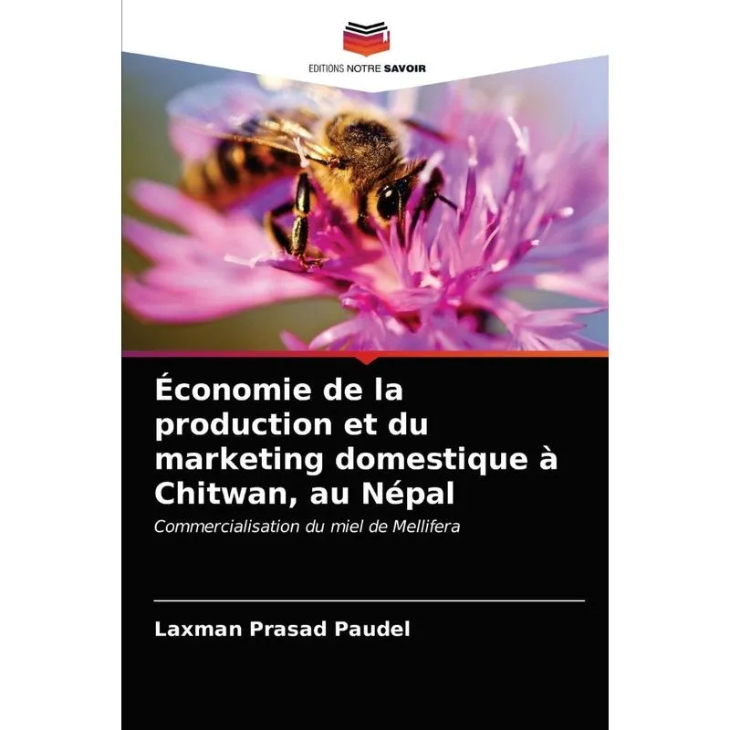 Économie de la production et du marketing domestique à Chit