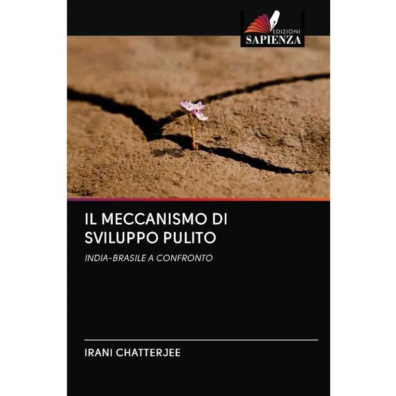 IL MECCANISMO DI SVILUPPO PULITO