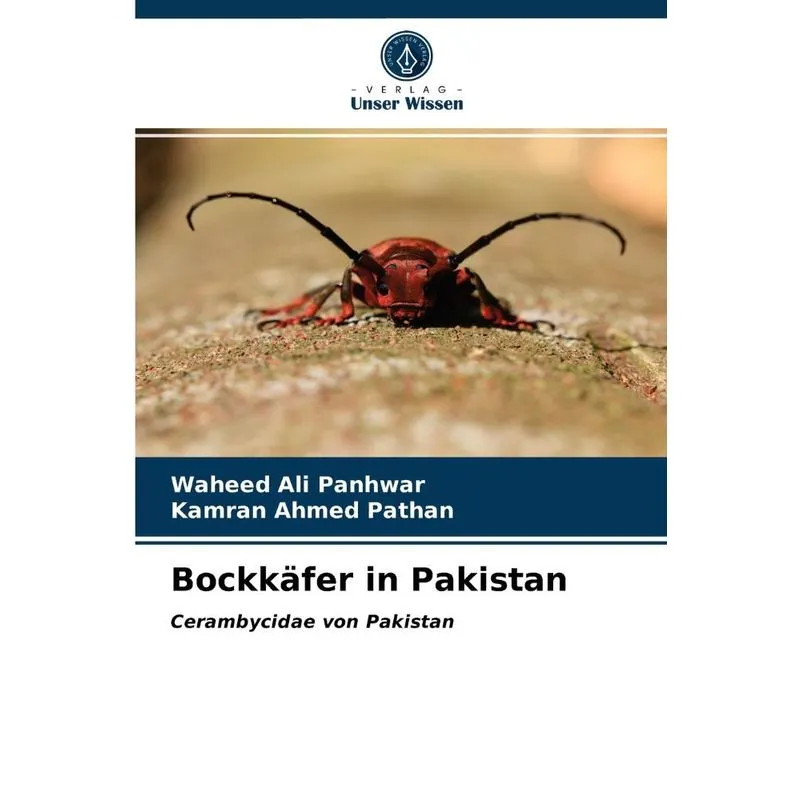 Bockkäfer in Pakistan