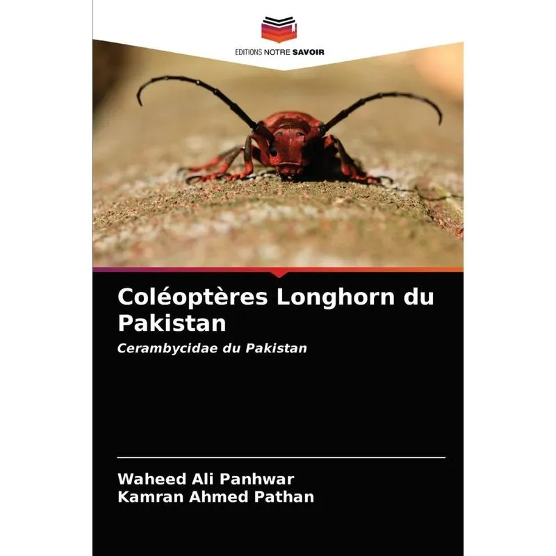 Coléoptères Longhorn Du Pakistan