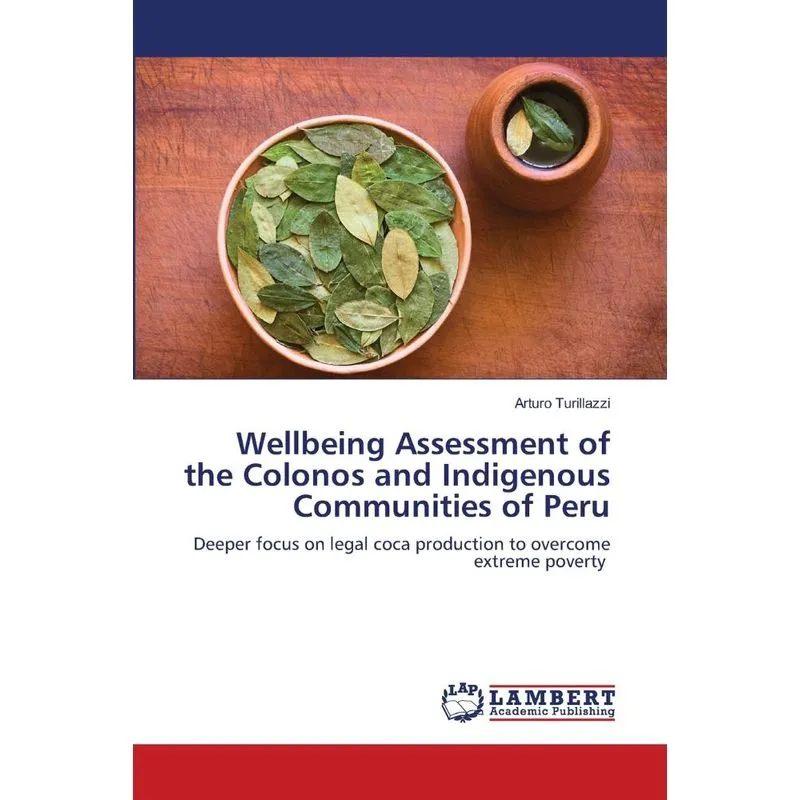 Wellbeing Assessment of the Colonos and Indigenous Communit