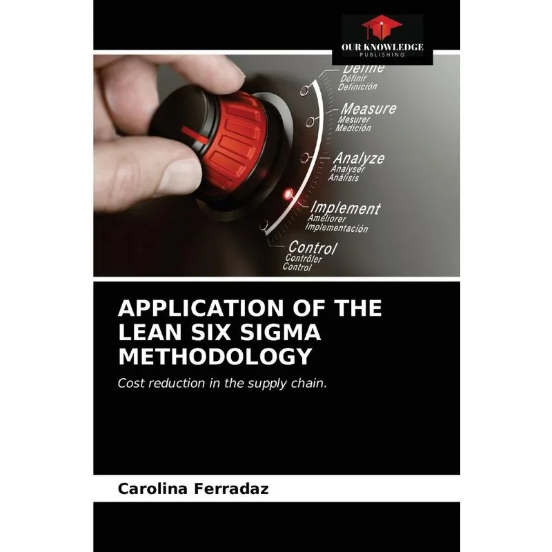 APPLICATION OF THE LEAN SIX SIGMA METHODOLOGY