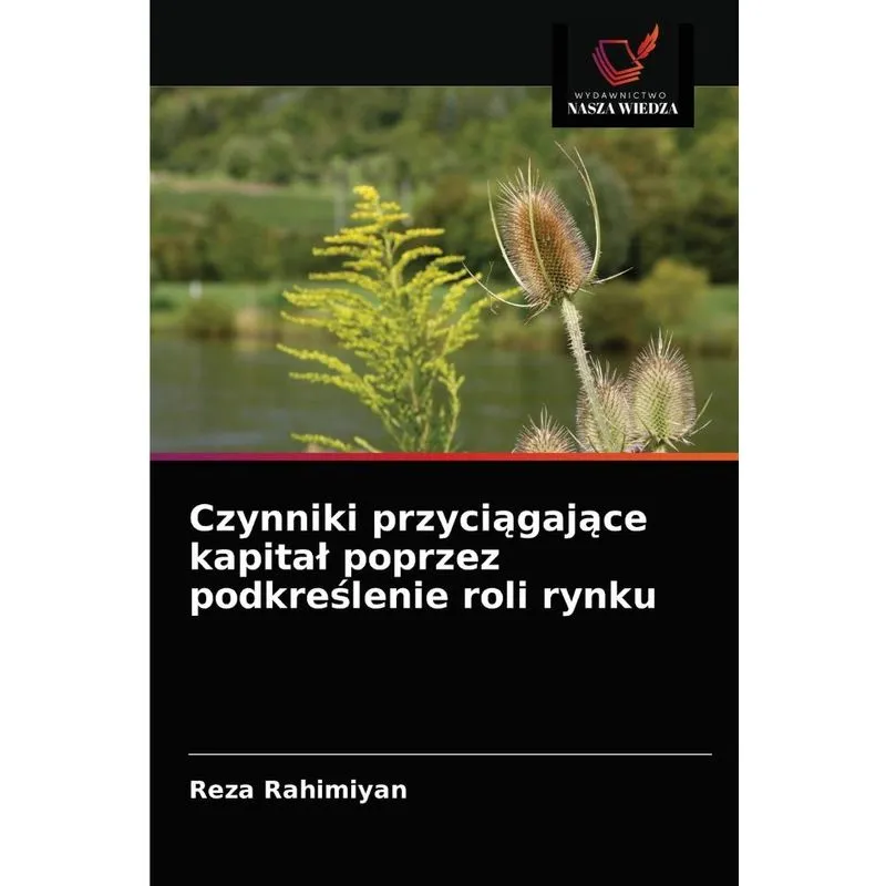 Czynniki przyciagajace kapital poprzez podkreslenie roli ry