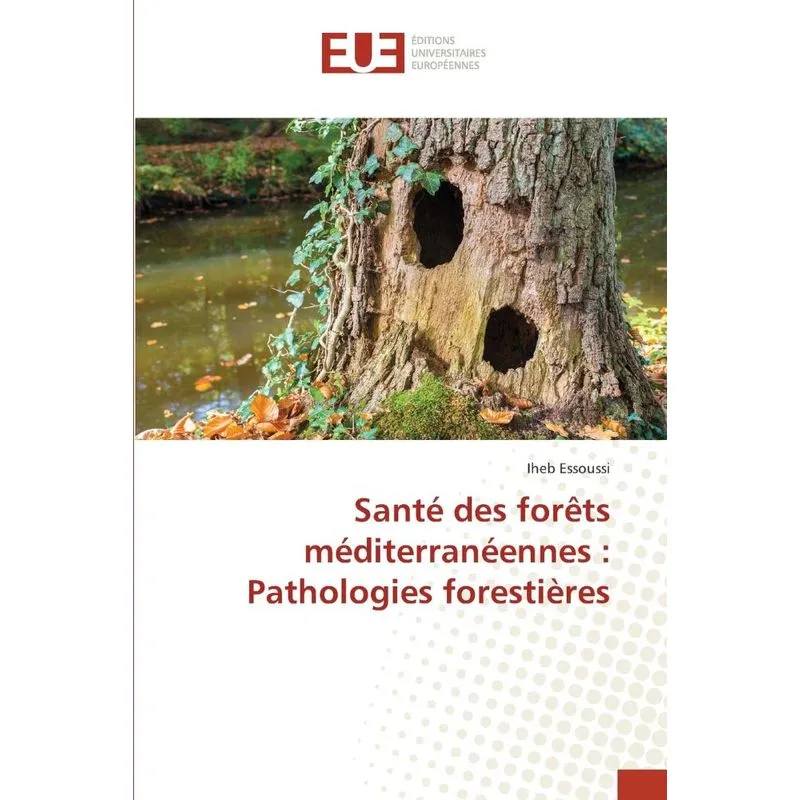 Santé des forêts méditerranéennes