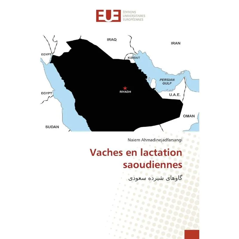 Vaches en lactation saoudiennes